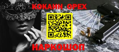 шишки Новодвинск