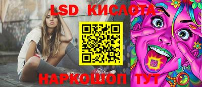 шишки Новодвинск