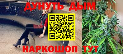 шишки Новодвинск