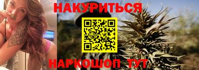 шишки Новодвинск