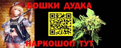 шишки Новодвинск