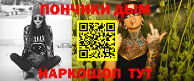 шишки Новодвинск