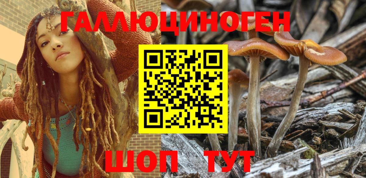 Псилоцибиновые грибы Psilocybe  Псилоцибиновые грибы GOLDEN TEACHER  Верхняя Пышма  Вход с VPN 