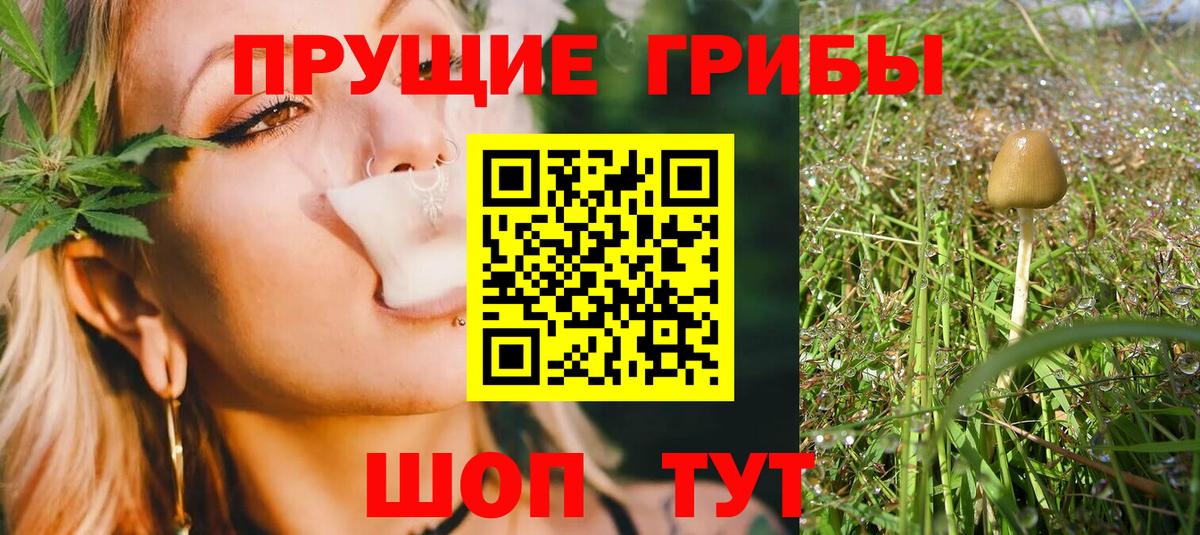 Псилоцибиновые грибы Magic Shrooms Верхняя Пышма